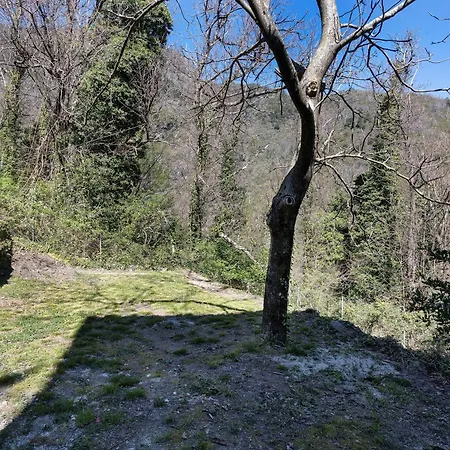 Casa Sabatino A Seravezza Hébergement de vacances